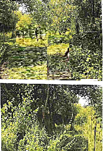 course